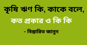 কৃষি ঋণ
