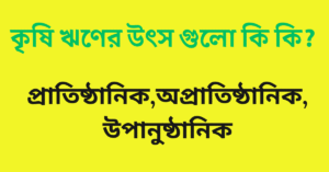 কৃষি ঋণের উৎস