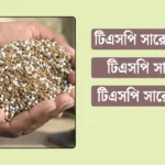 টিএসপি সারের কাজ কি