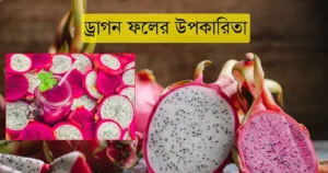 ড্রাগন ফলের উপকারিতা