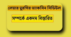 লেয়ার মুরগির ভ্যাকসিন সিডিউল