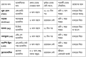 গরুর ভ্যাকসিন