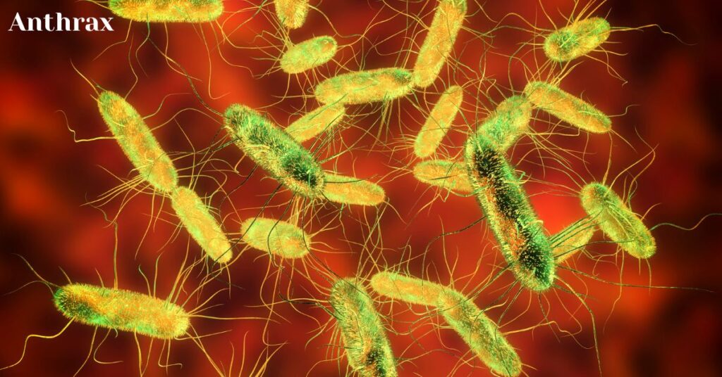 তড়কা রোগ