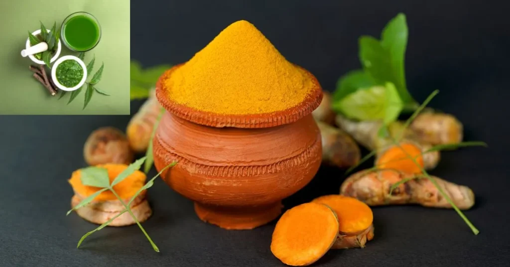 নিম পাতার উপকারিতা