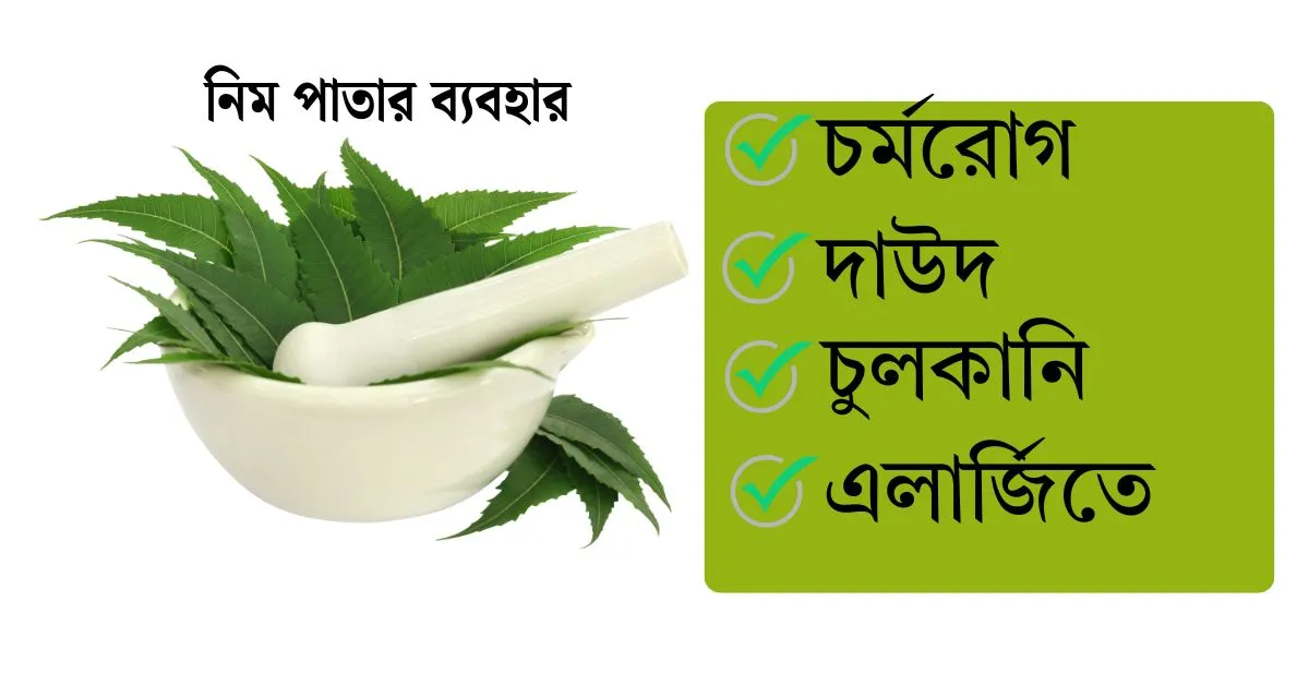 নিম পাতার ব্যবহার