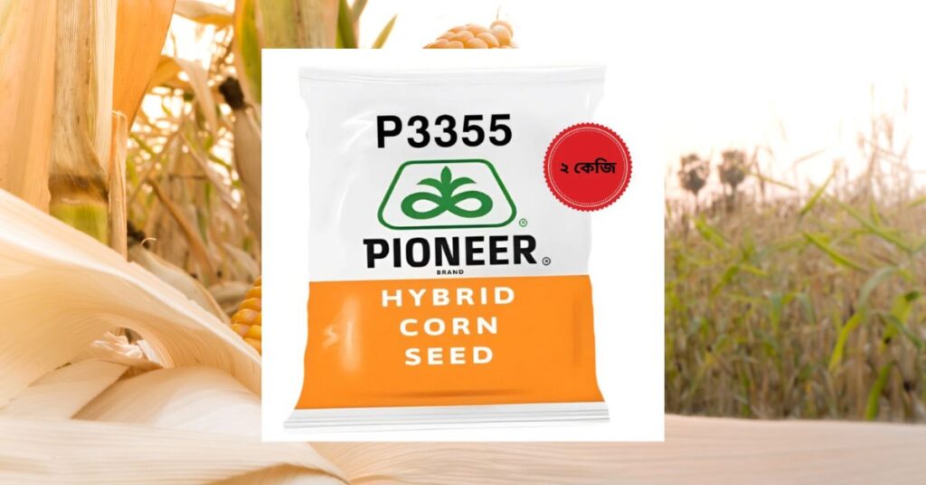 পাইওনিয়ার ভুট্টা ৩৩৫৫ চাষ 