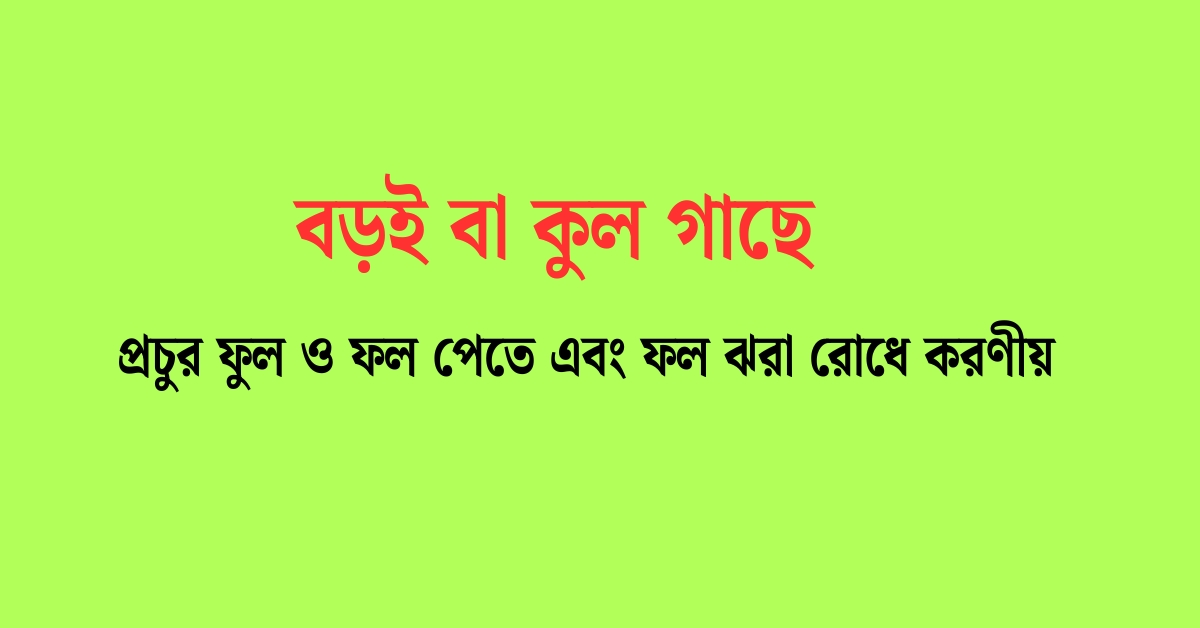 বড়ই ফল