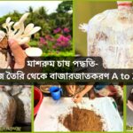 মাশরুম চাষ