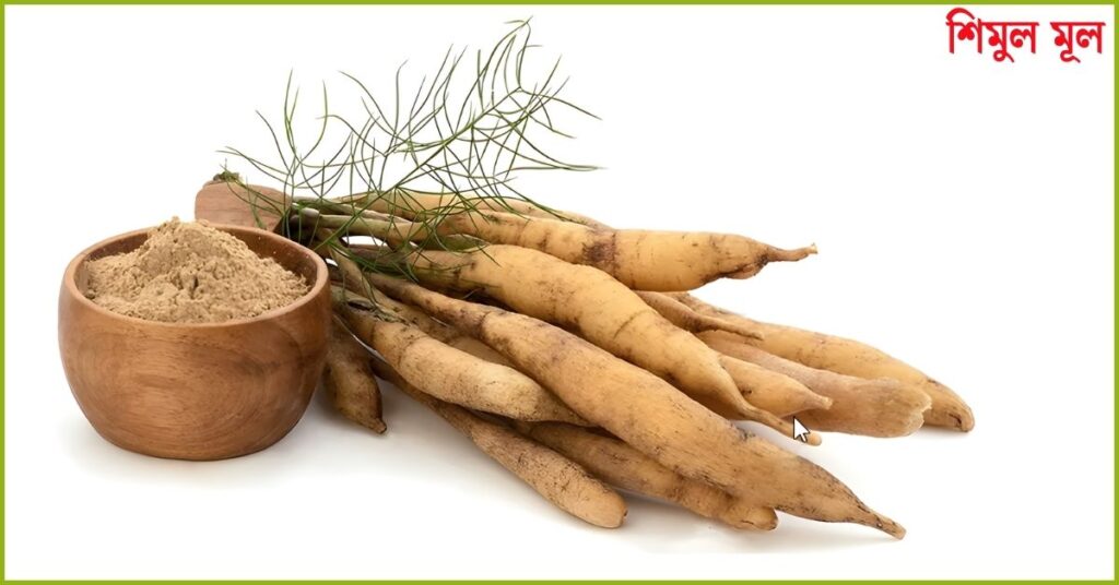 শিমুল মূল খাওয়ার উপকারিতা (1)